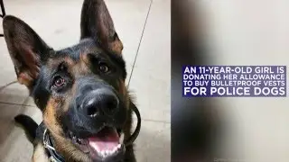 Girl donates her allowance to help police buy bulletproof vests for K-9 officers