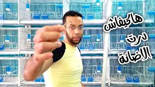 فيديو الاخوان الدين طلبو مني الطريقة تركيب الاقفاص والانارة والعازل