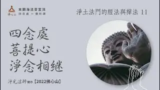 【淨土法門的經法與禪法11】四念處 ‧ 菩提心 ‧ 淨念相繼【字幕版】__淨光法師開示