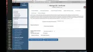 Let's Encrypt auto renewal on Virtualmin