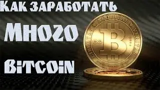 Как заработать много биткоин. Новая стратегия Primedice
