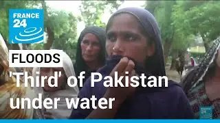 'Third' of Pakistan under water as flood aid efforts gather pace &bull; FRANCE 24 English