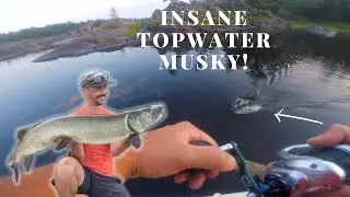Insane TOPWATER Musky! 48' French River Beast!