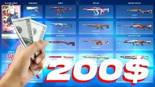 My Valorant Skin Collection (200+$)