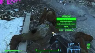 Fallout 4 on G3258 4,0Ghz, GTX 750Ti, 8GB Ram, Boston Gameplay