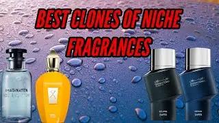 Best clones of niche fragrances by Emper Downtown Perfumes reviewing