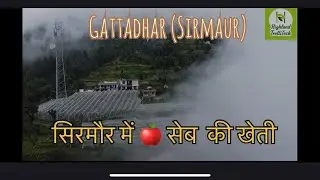 Apple farming Motivation and success story.