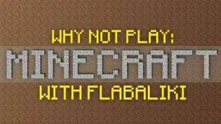 Why Not Play Minecraft - New World? :'(