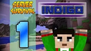 The Beginning | Indigo Survival