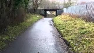 Aberdare\Cwmbach Canal Flood