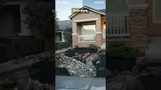 STOP! Don't Touch Your Yard Until You See THIS! (You'll Regret It Forever!)