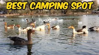 Best camping spot in Dubai | Al Qudra lake