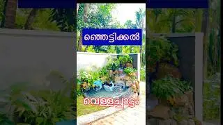 🐬🐬￼￼ koii pond waterfalls🐬 #aquarium waterfalls#outdoor waterfall#￼ natural pond waterfalls#￼