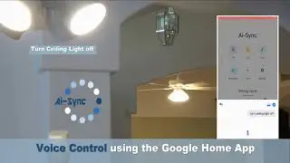 Using the Google Home