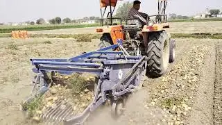 Khalsa Potato Digger with Shiv System | Fast & Clean Potato Harvesting | Punjab Engineers Official