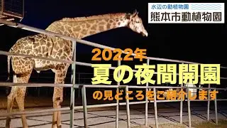 『夏の夜間開園』２０２２年の見どころをご紹介します。