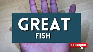 Greatest yoga that she will enjoy#pamistry #english #Astro kannadiga English