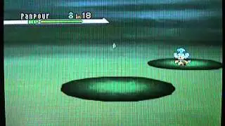 Прохождение Pokemon Black & White, часть 10: Pinwheel Forest
