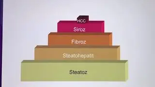 Alkol Dışı Karaciğer Yağlanması / NASH / NAFLD