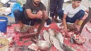 Expert Market Cutter Turns Whole Fish into Clean Fillets in Just Minutes