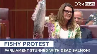 Senator Pulls Out Dead Salmon In Parliament! | DRM News | AC1B