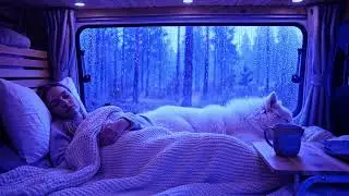 Heavy Rain Thunder Ambience for Deep Sleep &ndash; Silent Rainy Night | Calm Body