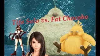 Fat Chocobo Insane Stagger Solo Kill - [FF7R] Tifa Solo Challenge