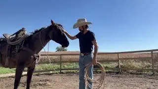 Introducing and desensitizing to a rope