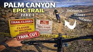 MOUNTAIN BIKING BEYOND THE &lsquo;CLOSED&rsquo; SIGNS   I   DISCOVER PALM CANYON EPIC&rsquo;S REMOTE BEAUTY!!! [PT 1]