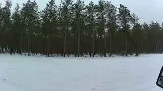 Некоторое подтверждение, шары...