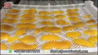 How Are Dried Mangoes Made Commercially?
