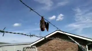 Perfect Radar Failure?