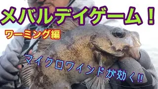 メバルデイゲーム・ワーミング編マイクロワインドが効く‼︎