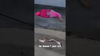 This Man Mimics Street Trash&hellip; His Message Is Powerful 🌎 #shorts