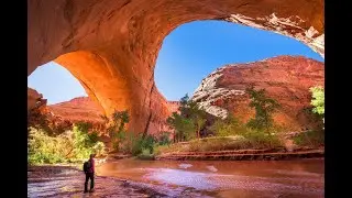 The Vital Role of National Parks in Global Conservation Efforts (5 Minutes)