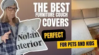 Nolan Interiors &mdash; лучший чехол для дивана для владельцев домашних животных