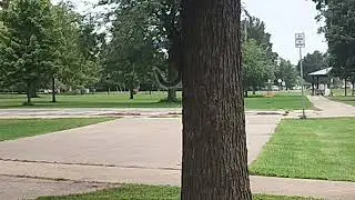 Light rain and tree rats in the park 😳