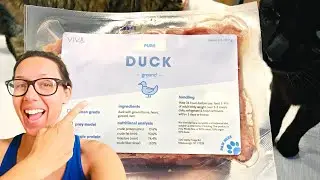 Make homemade cat food easily with this (great for multiple cats)