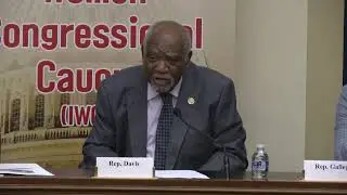 Rep. Danny Davis (D-IL) Speaks At The IHRDC & IWCC Joint Hearing -- May 18th, 2023