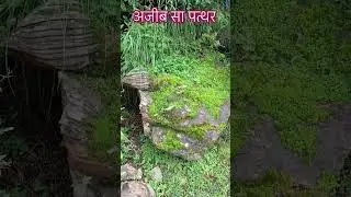 Wonder stone 🪨👏 | Nature and its types #naturebeauty #naturelovers