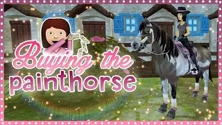 Buying the American Paint Horse | Star Stable