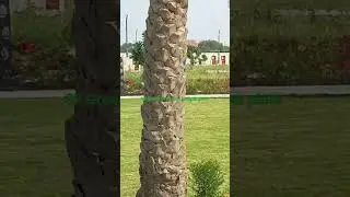 Gk Green premium budget plots in Indore.