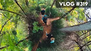 VLOG #319 / Red Rock Canyon with Jim and Kathy / August 7, 2021