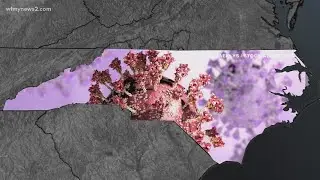 Omicron variant detected in NC: The testing process