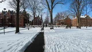 Harvard University (Wintertime), Boston MA