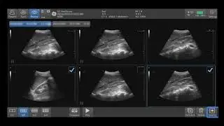 Venue Family Tutorials: Image Management