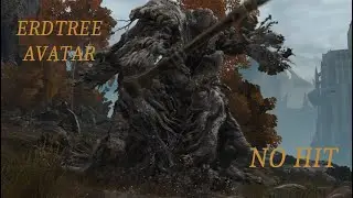 Elden Ring Erdtree Avatar No Hit