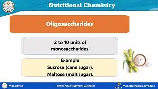 Science prep 2 Nutritional Chemistry Part 1