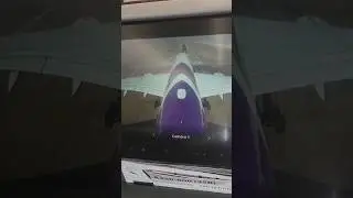 Aeroplane landing tail camera recording