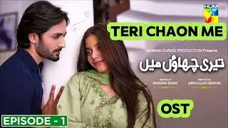 Teri Chaon Me || Yar tu Yar hota hai || {OST} || Hum tv || Sher Gul